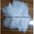 Hollow or Solid Recycled Polyester Fiber for 1.2D to 15D